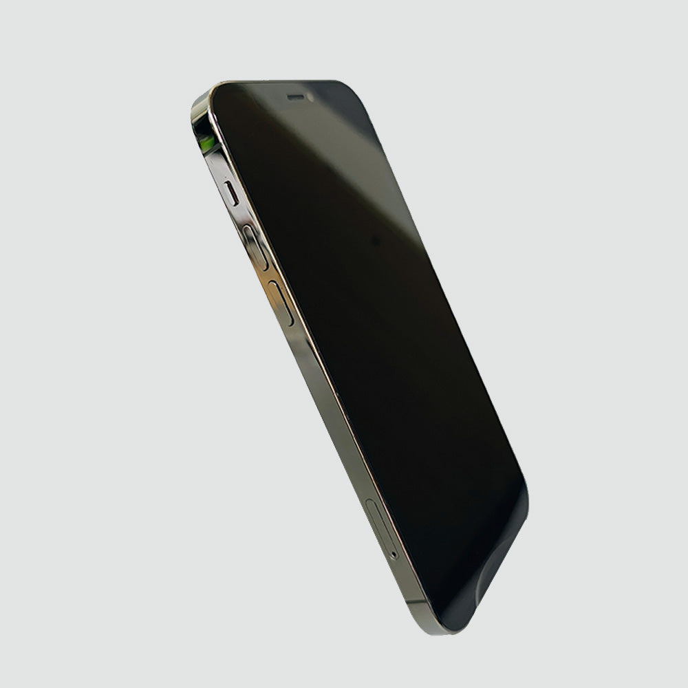 iPhone 12 Pro 256 GB Grafito